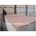 Plywood For Wall Panel(Japan Market)